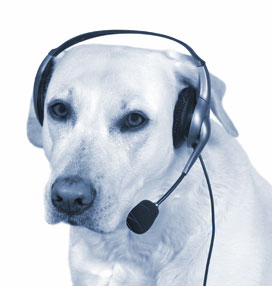 Pet